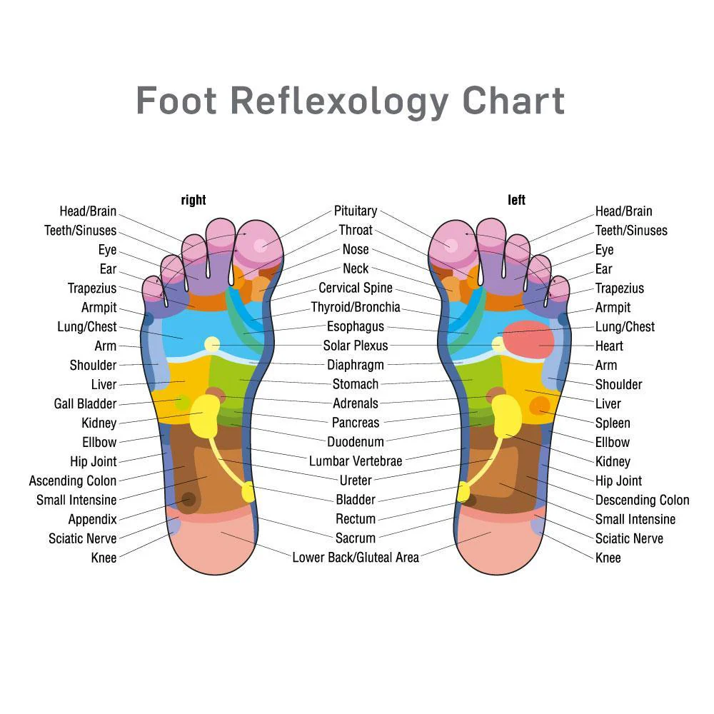 66fit Hand and Foot Massage Balls x 2pcs - Image 6